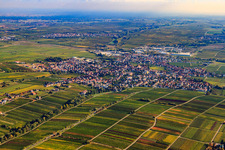 Vue d'oiseau de Edenkoben dans le département Rhénanie-Palatinat, Allemagne
