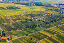 Edenkoben dans le département Rhénanie-Palatinat, Allemagne vue du ciel