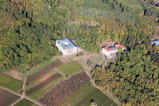 Photographie aérienne de Château de la Villa Ludwigshöhe à Edenkoben dans le département Rhénanie-Palatinat, Allemagne