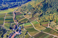 Vue aérienne de Vignobles en bordure du Haardt Hinkelberg à le quartier Weyher in Weyher in der Pfalz dans le département Rhénanie-Palatinat, Allemagne