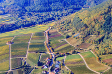 Vue aérienne de Vignobles en bordure du Haardt Modenbachtalstr à le quartier Weyher in Weyher in der Pfalz dans le département Rhénanie-Palatinat, Allemagne