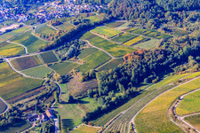Vue aérienne de Modenbachtal et Burrweiler moulin à Burrweiler dans le département Rhénanie-Palatinat, Allemagne