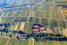 Vue oblique de Burrweiler dans le département Rhénanie-Palatinat, Allemagne