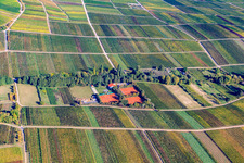 Vue aérienne de Club de tennis Modenbachtal depuis le sud à Hainfeld dans le département Rhénanie-Palatinat, Allemagne