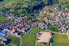 Vue aérienne de Au Schlossberg à Burrweiler dans le département Rhénanie-Palatinat, Allemagne