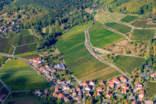 Vue aérienne de Rue Sainte-Anne à Burrweiler dans le département Rhénanie-Palatinat, Allemagne