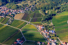Vue aérienne de Route des vins entre Gleisweiler et Burrweiler à Gleisweiler dans le département Rhénanie-Palatinat, Allemagne