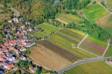 Vue aérienne de Bergstr à Gleisweiler dans le département Rhénanie-Palatinat, Allemagne