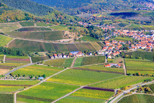 Vue aérienne de Village viticole au bord du Haardt vu du sud à Burrweiler dans le département Rhénanie-Palatinat, Allemagne