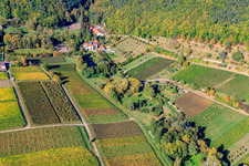Vue aérienne de À Hainbach à Gleisweiler dans le département Rhénanie-Palatinat, Allemagne