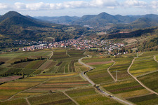 Vue aérienne de Champs agricoles et surfaces utilisables à Albersweiler dans le département Rhénanie-Palatinat, Allemagne