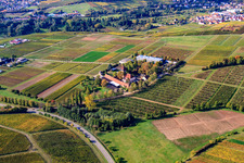 Vue aérienne de BFA-Geilweilerhof (Institut de recherche sur la vigne) à Siebeldingen dans le département Rhénanie-Palatinat, Allemagne