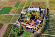 Vue oblique de BFA-Geilweilerhof (Institut de recherche sur la vigne) à Siebeldingen dans le département Rhénanie-Palatinat, Allemagne
