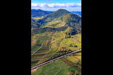 Vue aérienne de Vignoble de Kastanienbusch sous le Hohenberg à Birkweiler dans le département Rhénanie-Palatinat, Allemagne