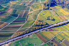Vue aérienne de Vignoble de Kastanienbusch sur la B10 à Albersweiler dans le département Rhénanie-Palatinat, Allemagne