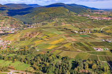Vue aérienne de Vignobles entre Albersweiler et Frankweiler à Siebeldingen dans le département Rhénanie-Palatinat, Allemagne