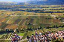 Vue aérienne de Vignes aux feuilles d'automne à le quartier Arzheim in Landau in der Pfalz dans le département Rhénanie-Palatinat, Allemagne