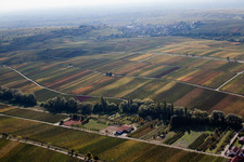 Vue aérienne de Paysage viticole des terroirs viticoles à Ranschbach dans le département Rhénanie-Palatinat, Allemagne