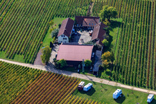 Vue aérienne de Domaine viticole Erlenwein à le quartier Ilbesheim in Ilbesheim bei Landau in der Pfalz dans le département Rhénanie-Palatinat, Allemagne