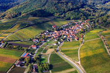 Leinsweiler dans le département Rhénanie-Palatinat, Allemagne du point de vue du drone