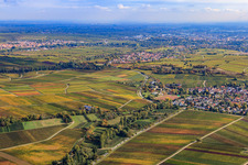 Photographie aérienne de Village viticole sur le petit Kalmit vu de l'ouest à le quartier Ilbesheim in Ilbesheim bei Landau in der Pfalz dans le département Rhénanie-Palatinat, Allemagne
