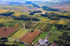 Enregistrement par drone de Klingenmünster dans le département Rhénanie-Palatinat, Allemagne