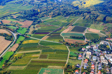 Vue aérienne de B38 à Dörrenbach dans le département Rhénanie-Palatinat, Allemagne