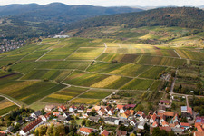 Sonnenberg à le quartier Schweigen in Schweigen-Rechtenbach dans le département Rhénanie-Palatinat, Allemagne vue du ciel