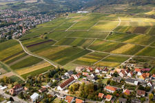 Enregistrement par drone de Sonnenberg à le quartier Schweigen in Schweigen-Rechtenbach dans le département Rhénanie-Palatinat, Allemagne