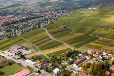 Image drone de Sonnenberg à le quartier Schweigen in Schweigen-Rechtenbach dans le département Rhénanie-Palatinat, Allemagne