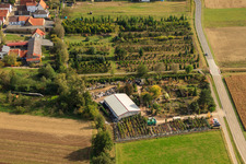 Vue aérienne de Pépinière à le quartier Schaidt in Wörth am Rhein dans le département Rhénanie-Palatinat, Allemagne