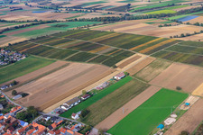 Vue aérienne de Zone de déchiquetage à Freckenfeld dans le département Rhénanie-Palatinat, Allemagne