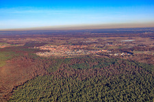Photographie aérienne de Du sud à Jockgrim dans le département Rhénanie-Palatinat, Allemagne