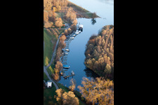 Vue aérienne de Port de plaisance dans l'estuaire de la Lauter jusqu'au Rhin à le quartier Neuburg in Neuburg am Rhein dans le département Rhénanie-Palatinat, Allemagne