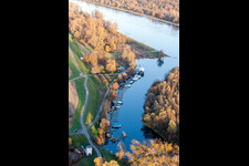 Vue aérienne de Embouchure de la Lauter dans le Rhin à le quartier Neuburg in Neuburg am Rhein dans le département Rhénanie-Palatinat, Allemagne