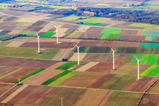 Parc éolien Minfeld à Minfeld dans le département Rhénanie-Palatinat, Allemagne depuis l'avion