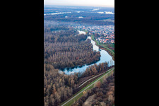 Vue aérienne de Vieux Rhin à le quartier Plittersdorf in Rastatt dans le département Bade-Wurtemberg, Allemagne