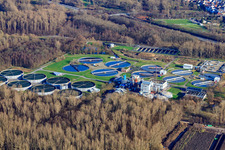 Photographie aérienne de Station d'épuration Karlsruhe à le quartier Knielingen in Karlsruhe dans le département Bade-Wurtemberg, Allemagne