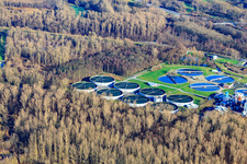 Vue oblique de Station d'épuration Karlsruhe à le quartier Knielingen in Karlsruhe dans le département Bade-Wurtemberg, Allemagne