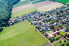 Vue aérienne de Waldstr. à Erlenbach bei Kandel dans le département Rhénanie-Palatinat, Allemagne