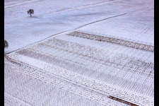 Photographie aérienne de Winterwingert à le quartier Kleinsteinfeld in Niederotterbach dans le département Rhénanie-Palatinat, Allemagne