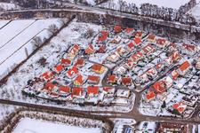 Vue aérienne de Pâturage nocturne dans la neige à Winden dans le département Rhénanie-Palatinat, Allemagne