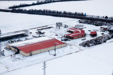 Vue aérienne de Ferme d'œufs de ferme de poulets en hiver avec de la neige à Erlenbach bei Kandel dans le département Rhénanie-Palatinat, Allemagne