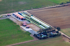 Vue aérienne de L'écurie active du fermier Karl sur Eichhörnchenweg à le quartier Friedrichsfeld in Mannheim dans le département Bade-Wurtemberg, Allemagne