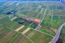 À l'Ahlmühle à Ilbesheim bei Landau in der Pfalz dans le département Rhénanie-Palatinat, Allemagne d'en haut