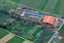 À l'Ahlmühle à Ilbesheim bei Landau in der Pfalz dans le département Rhénanie-Palatinat, Allemagne hors des airs