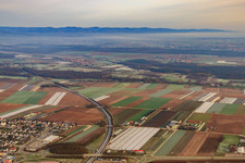 Vue aérienne de Itinéraire de l'A65 à Kandel dans le département Rhénanie-Palatinat, Allemagne