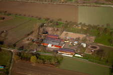 Vue aérienne de Wolfswiesenhof à Au am Rhein dans le département Bade-Wurtemberg, Allemagne
