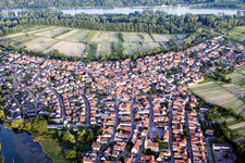 Vue aérienne de Zones riveraines du Rhin à le quartier Neuburg in Neuburg am Rhein dans le département Rhénanie-Palatinat, Allemagne