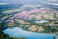 Vue aérienne de Du sud-ouest à le quartier Neuburg in Neuburg am Rhein dans le département Rhénanie-Palatinat, Allemagne